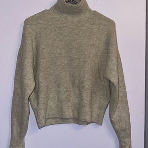 Zara Knit Turtle Neck Sweater